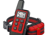 Dog Training Collar Red
