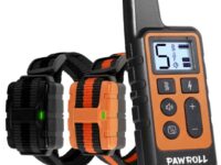 Dog Training Collar For  Dogs