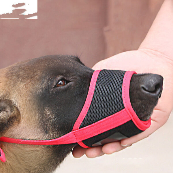 Dog Muzzle Cover To Prevent Eating Indiscriminately Large Labrador Dog