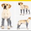 Doughton's New Doggie Outdoor Four-Legged Pants