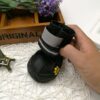 Pet shoes wear dog shoes