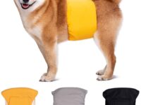 Pet-specific Dog Physiological Belt Diaper