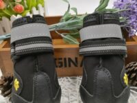 Pet shoes wear dog shoes