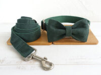 MUTTCO pet collar bow traction set