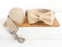 Dog collar traction rope