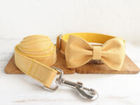 Nala pet dog collar traction rope