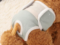 Dog Physical Safety Pants Comfortable Breathable Pure Cotton