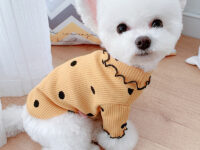 Dot turtleneck dog bottoming shirt