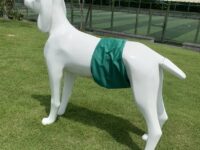 Pet Physiological Belt Special Diaper