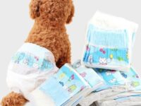 Diapers Pet Diapers Menstrual Pants Bitches