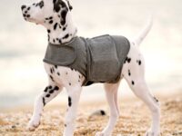 Pet Clothes Dog Anxiety Jacket Warm Vest