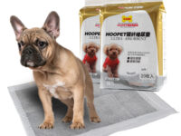 Pet Diapers Containing Carbon, Water-absorbing And Deodorizing Dog Diapers